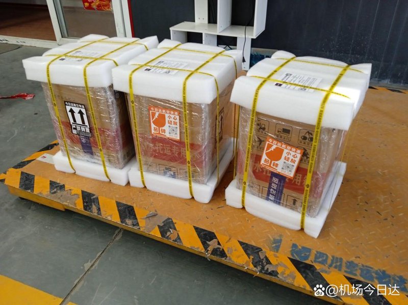 女装批发：潮流趋势与商业机遇